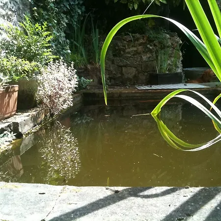 La Cour Au Lavoir *